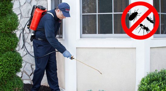 Mutki Akrep İlaçlama böcek ilaçlama ve haşere kontrolü — ilaclama-tr.com